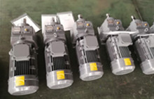 r系列減速機(jī)-斜齒輪減速機(jī)