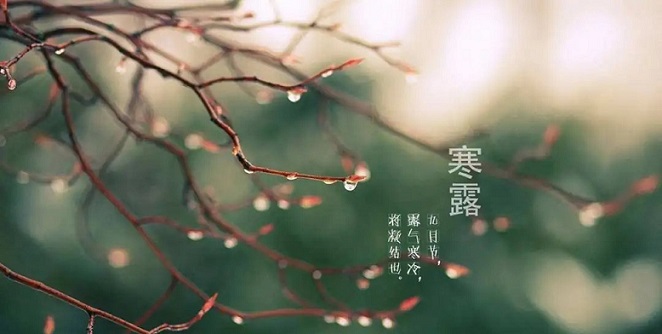 邁傳減速機(jī)提醒您:今日寒露 邁傳減速機(jī)提醒您:今日寒露